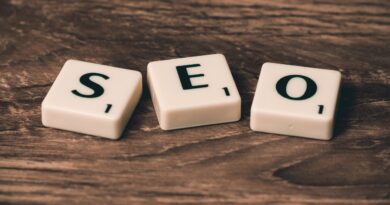 SEO Basics 17 Essentials