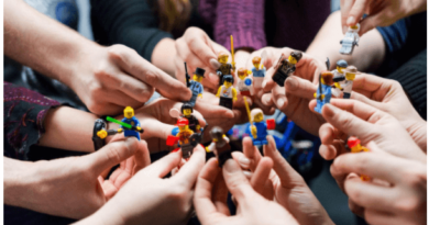 Software Development Cycles